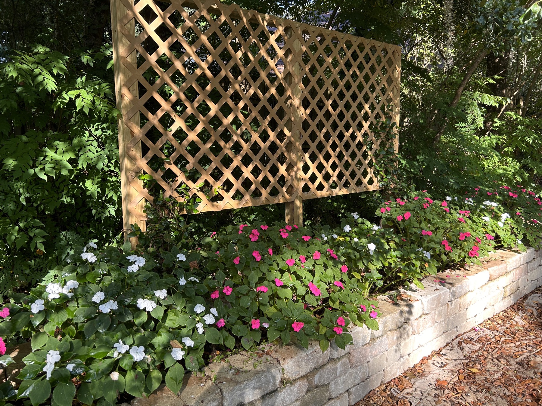 The Courtyard Garden, current view