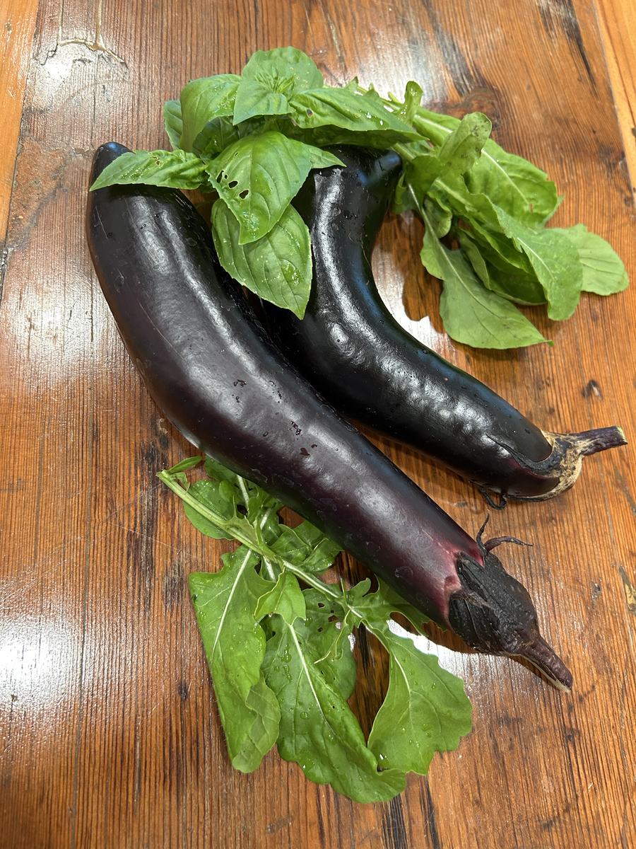 The first crops are harvested at Oaklane Garden
