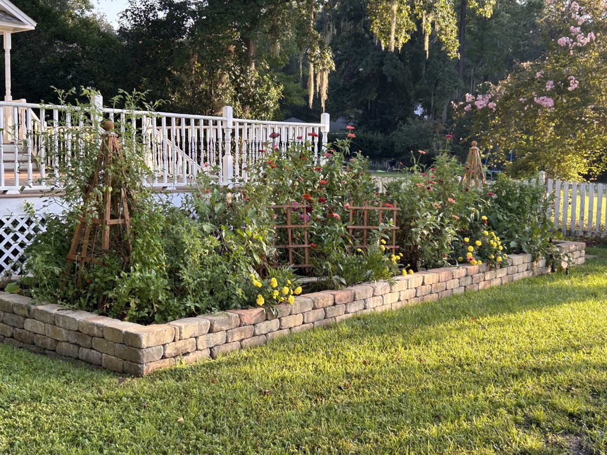 The Edible Garden, current view