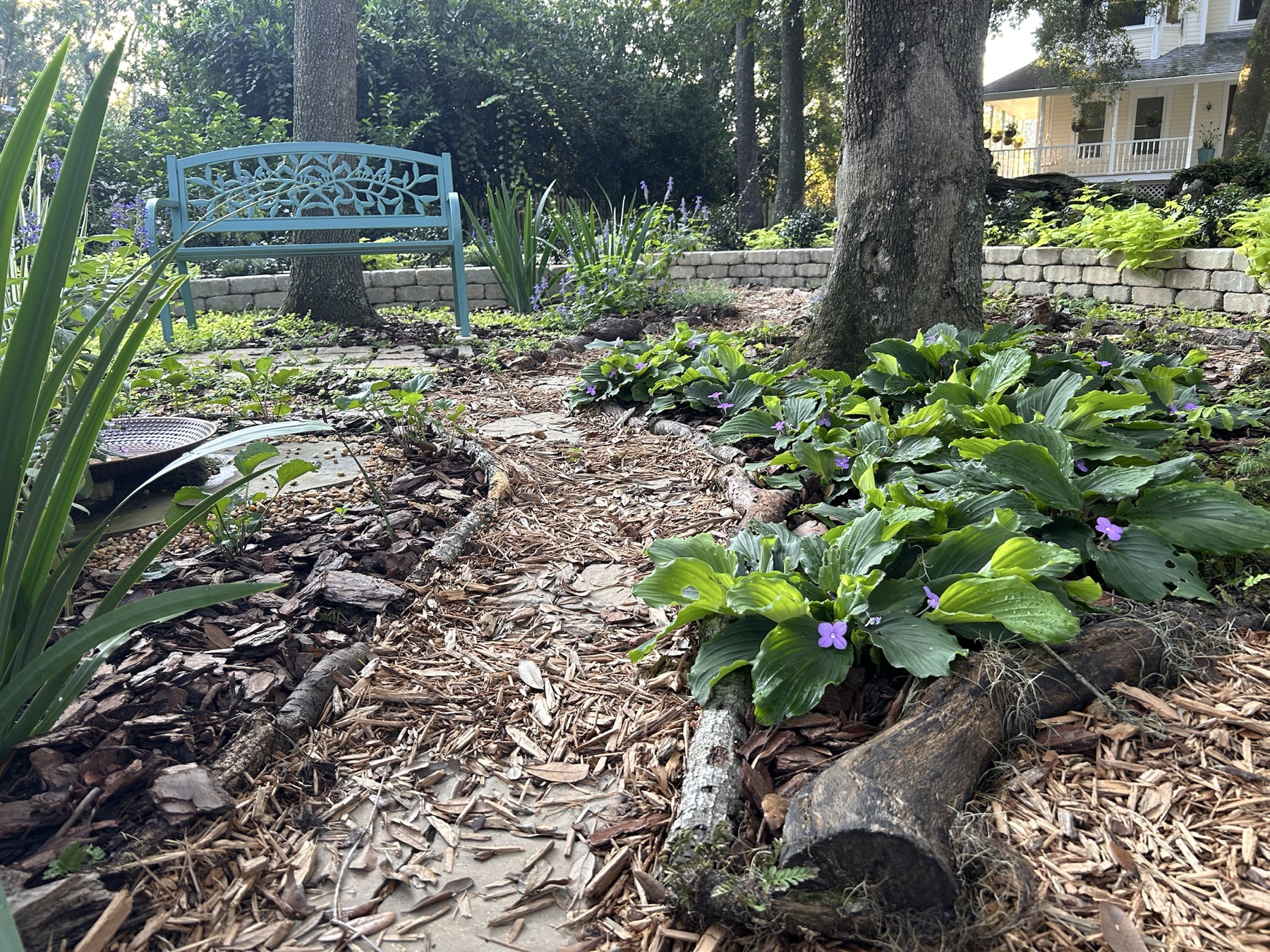 The Haven Garden, current view