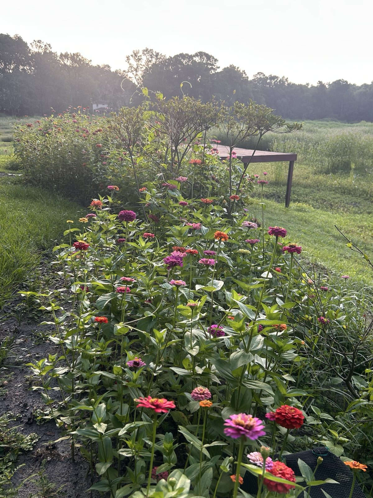 The Jewel Garden, current view