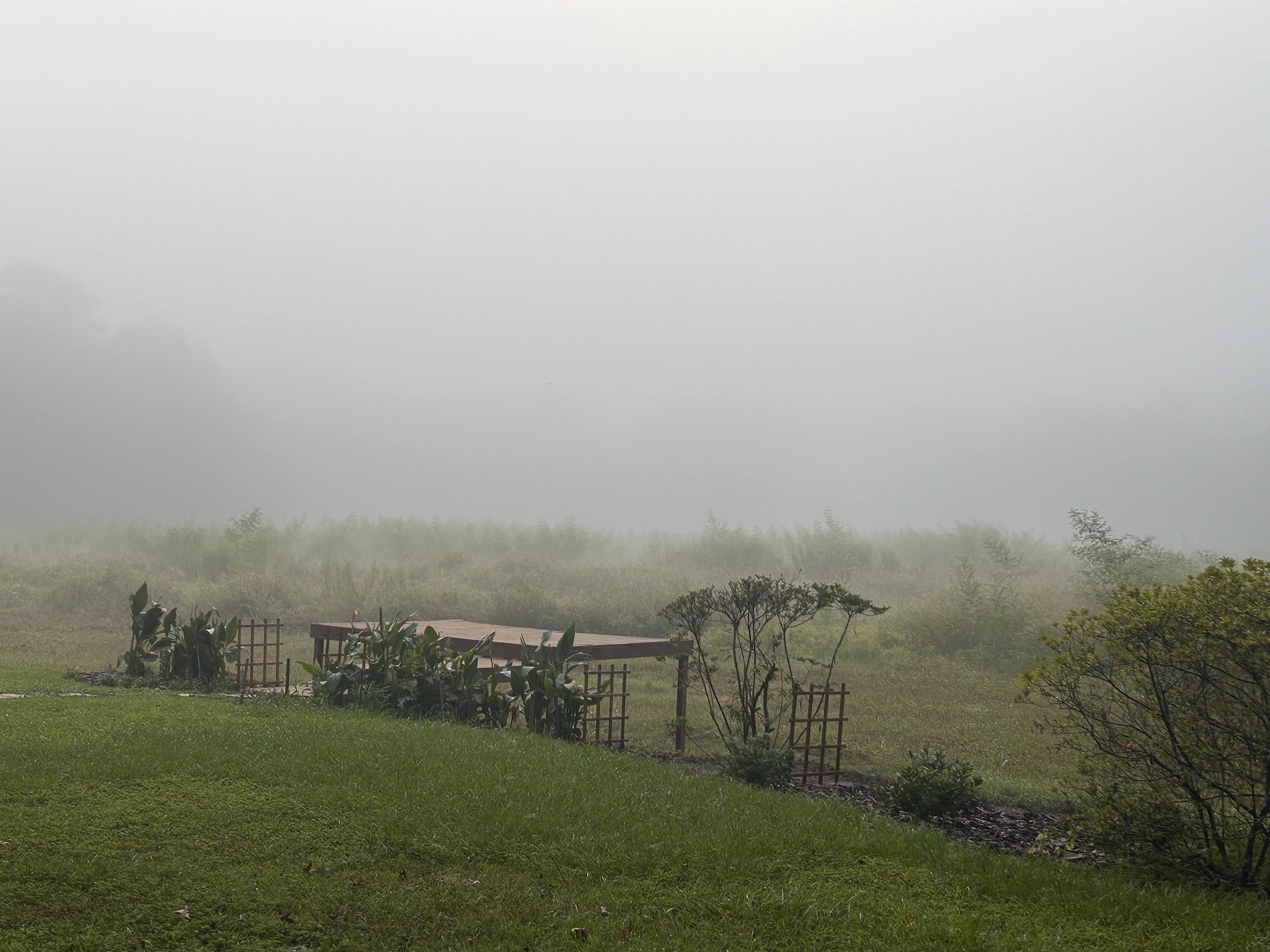 The Marshlands: Early morning mist settles over the marsh beyond the garden
