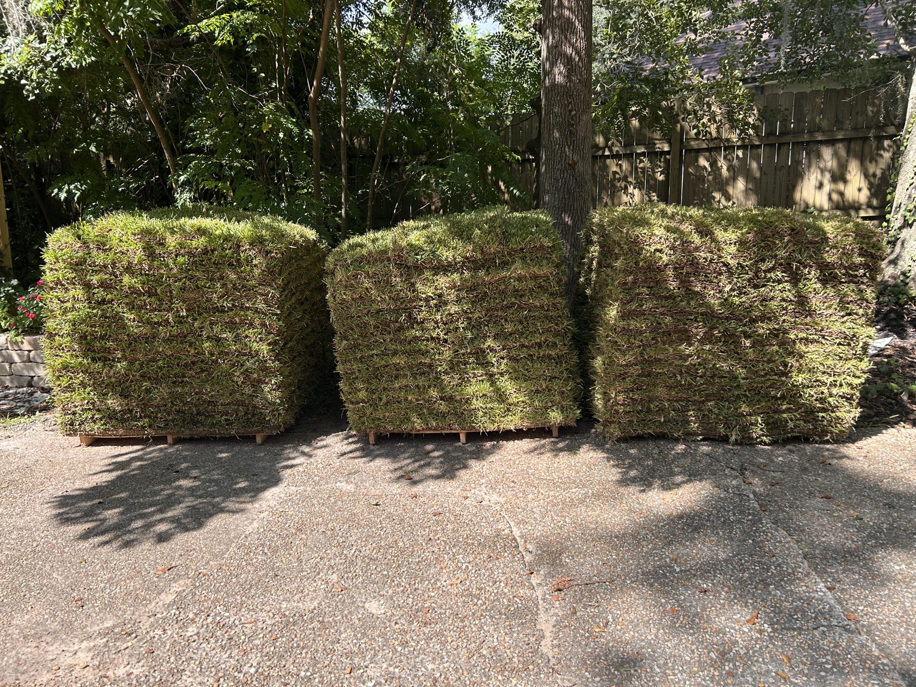 The sod arrives at Oaklane Garden