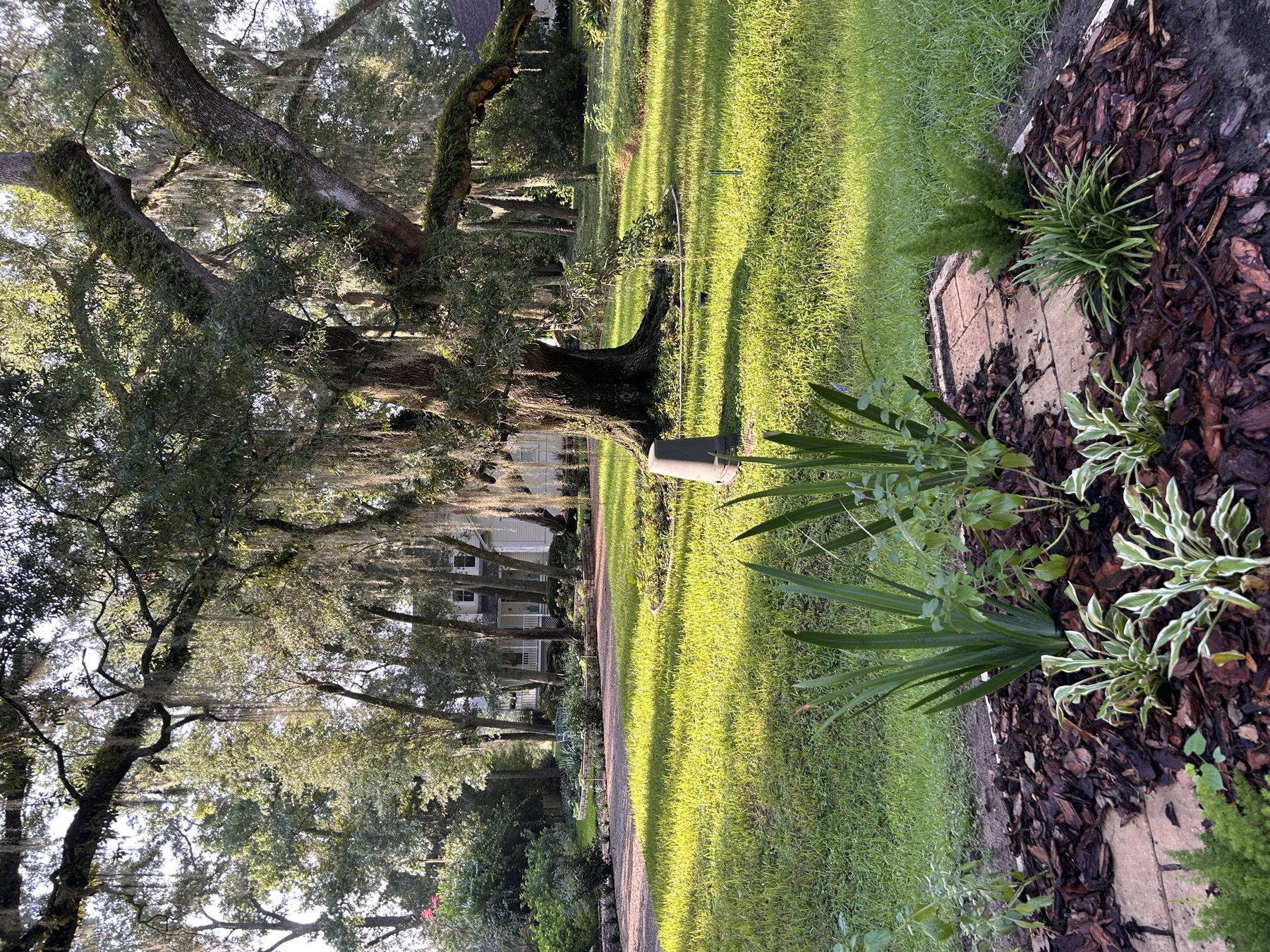 The Front Oak Garden, current view