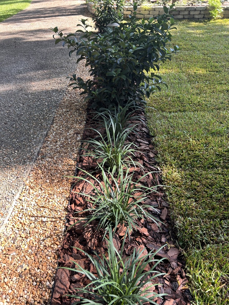 The Ribbon Garden, current view