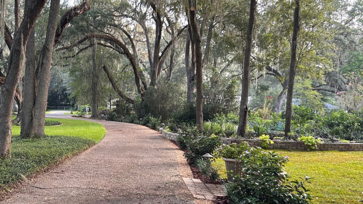 The new lawn connects the garden at Oaklane Garden