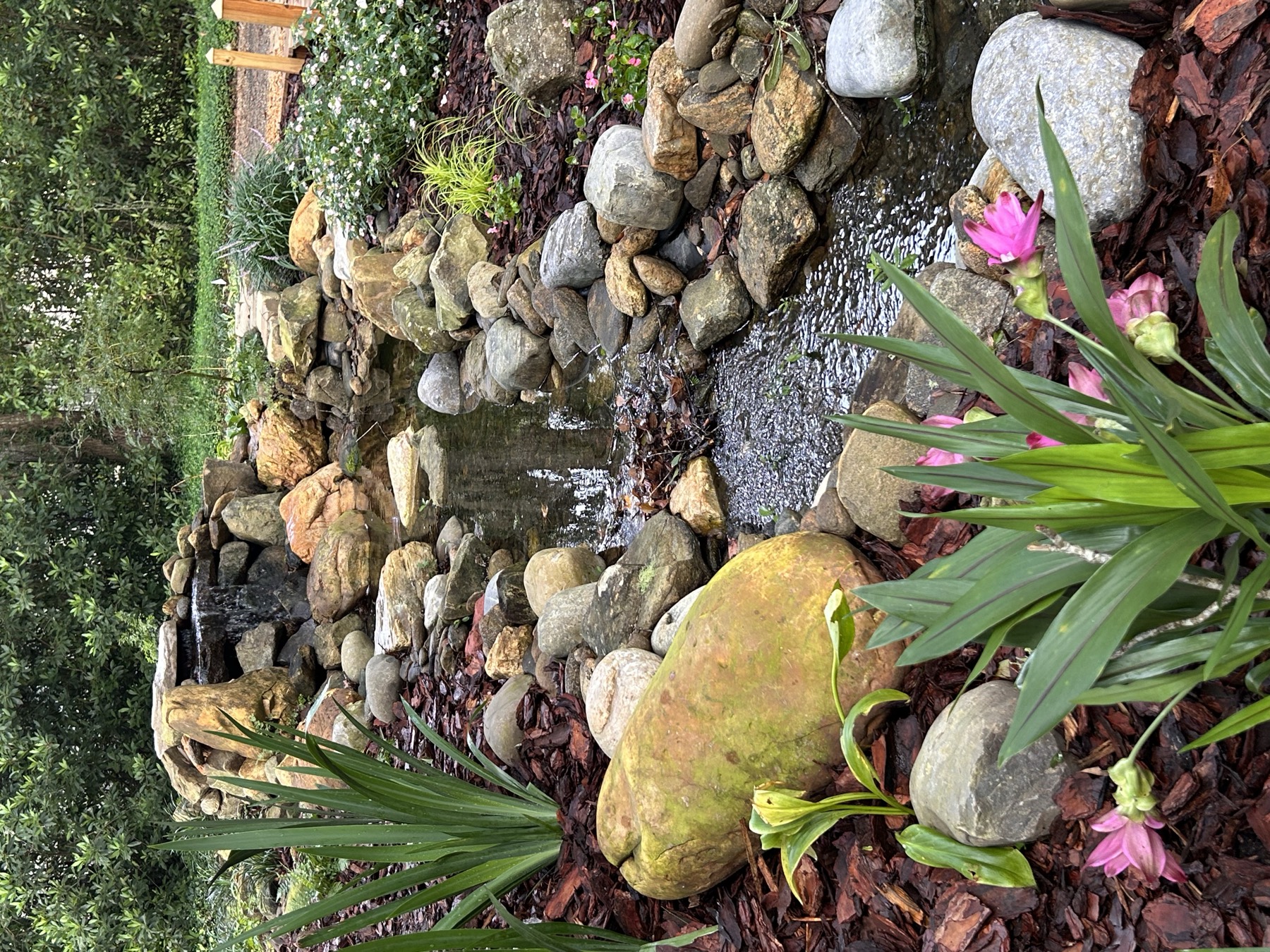 The Waterfall Garden, current view